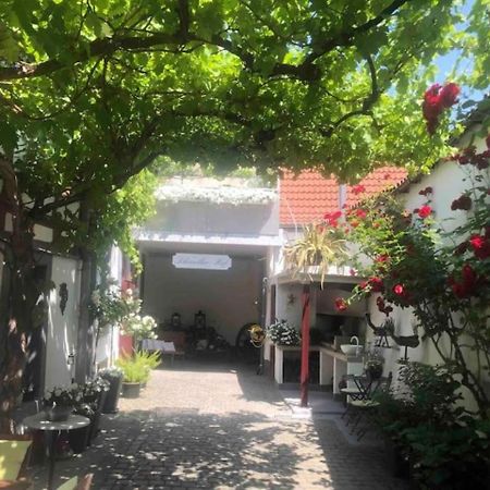 Ferienwohnung Im 'Schmoller - Hof' Neustadt an der Weinstraße Eksteriør billede