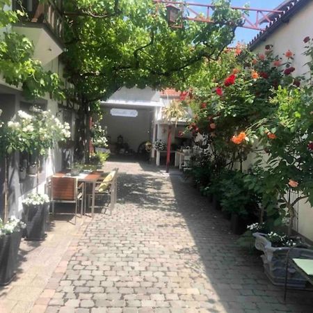 Ferienwohnung Im 'Schmoller - Hof' Neustadt an der Weinstraße Eksteriør billede
