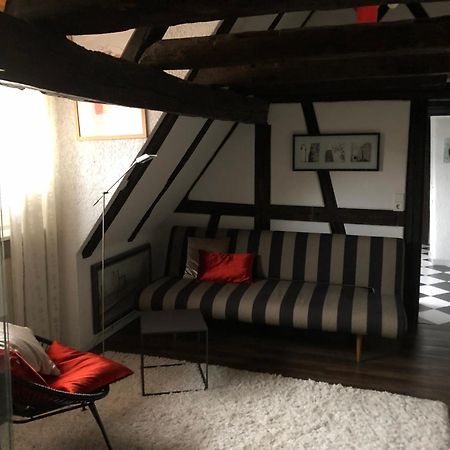 Ferienwohnung Im 'Schmoller - Hof' Neustadt an der Weinstraße Eksteriør billede
