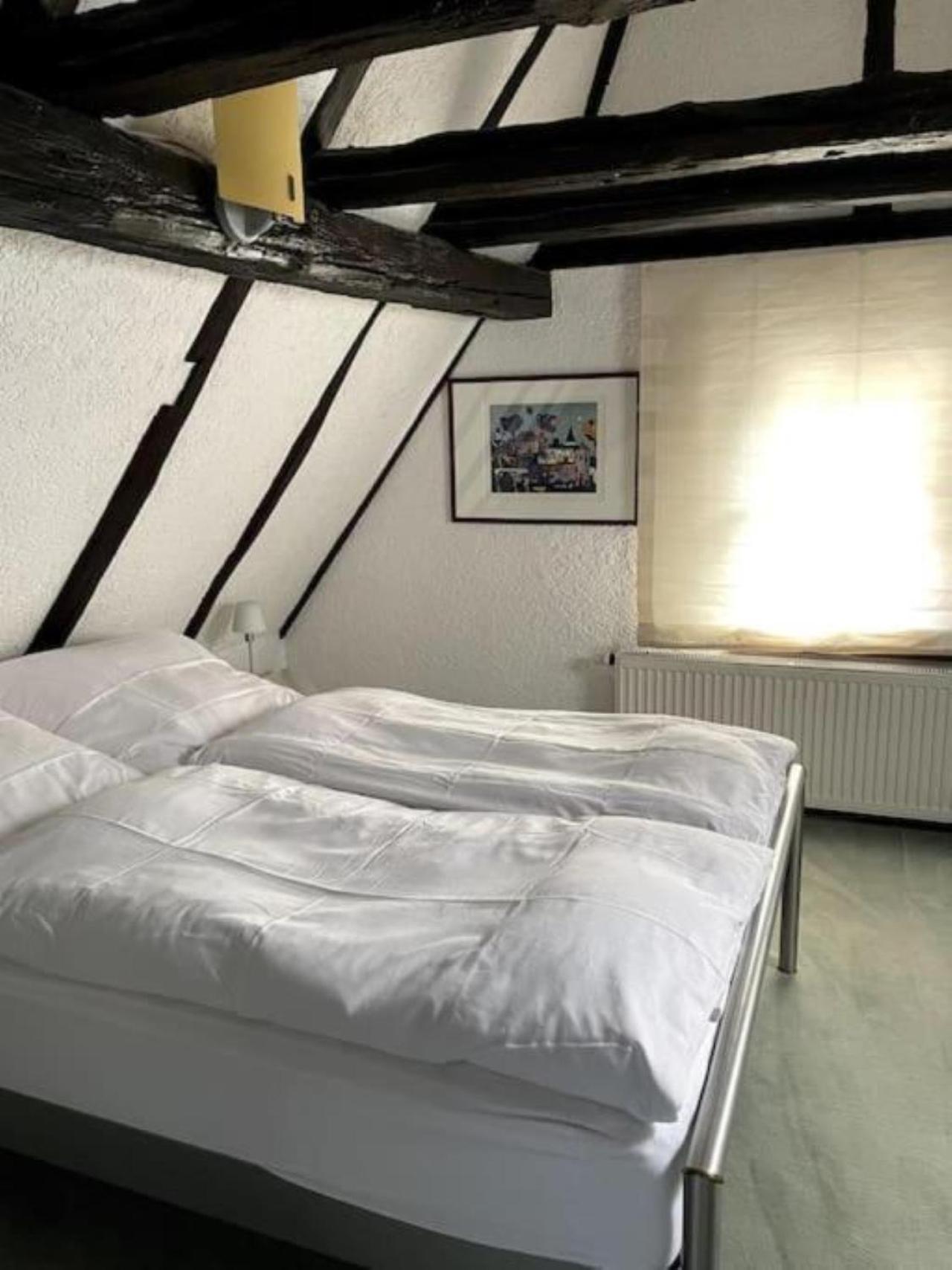 Ferienwohnung Im 'Schmoller - Hof' Neustadt an der Weinstraße Eksteriør billede